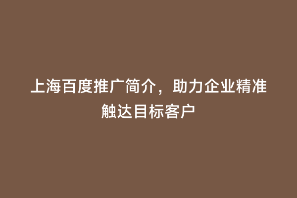 上海百度推广简介，助力企业精准触达目标客户