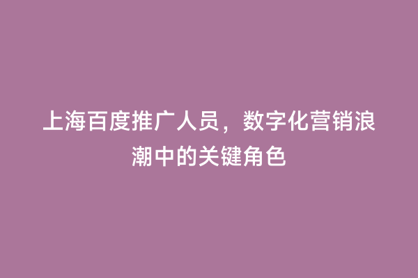 上海百度推广人员，数字化营销浪潮中的关键角色