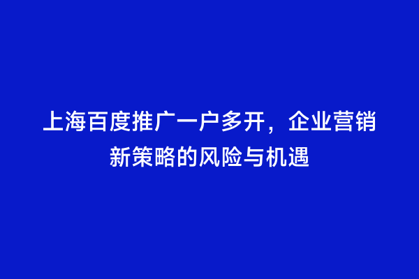 上海百度推广一户多开，企业营销新策略的风险与机遇