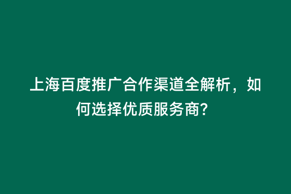 上海百度推广合作渠道全解析，如何选择优质服务商？