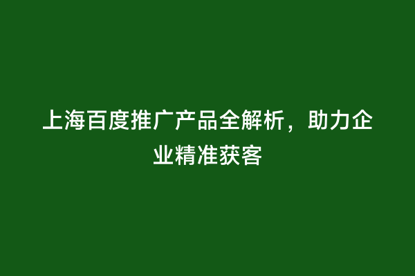上海百度推广产品全解析，助力企业精准获客