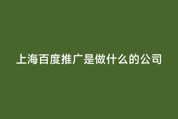 上海百度推广是做什么的公司
