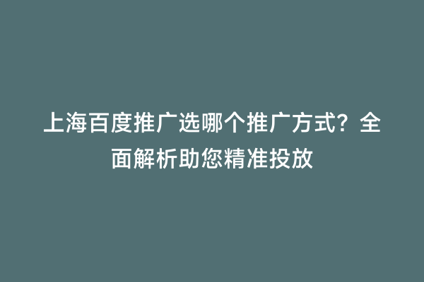 上海百度推广选哪个推广方式？全面解析助您精准投放