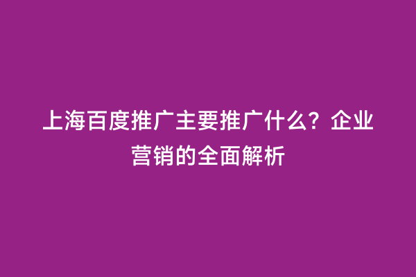 上海百度推广主要推广什么？企业营销的全面解析