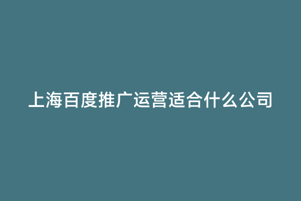 上海百度推广运营适合什么公司