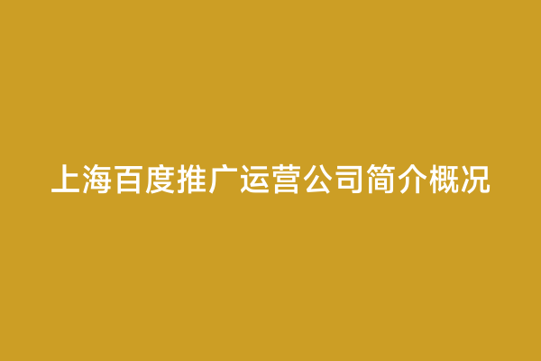 上海百度推广运营公司简介概况