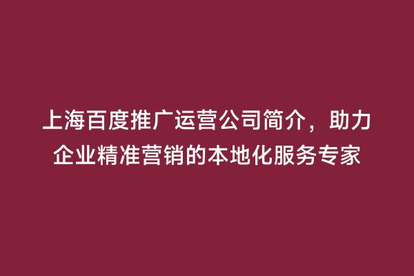 上海百度推广运营公司简介，助力企业精准营销的本地化服务专家