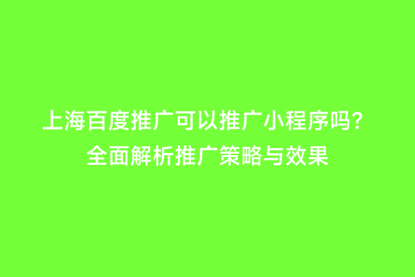 上海百度推广可以推广小程序吗？全面解析推广策略与效果