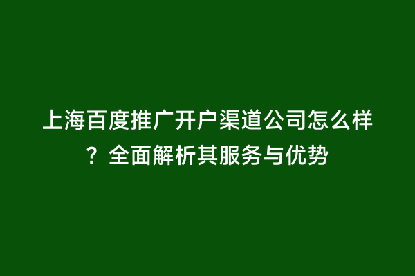 上海百度推广开户渠道公司怎么样？全面解析其服务与优势