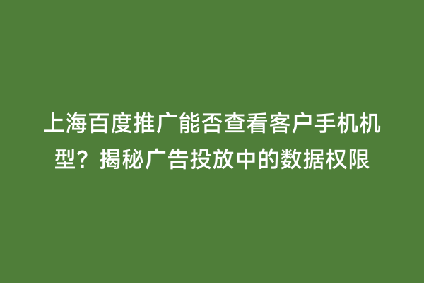 上海百度推广能否查看客户手机机型？揭秘广告投放中的数据权限